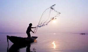 Conheça as novas regras do Seguro-defeso do pescador artesanal / Jornal da Política