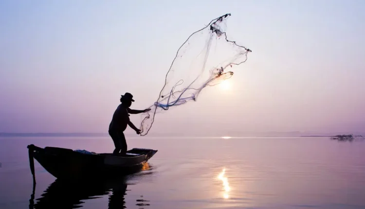Conheça as novas regras do Seguro-defeso do pescador artesanal / Jornal da Política